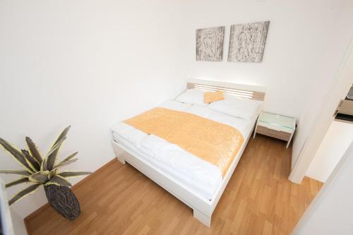 Traditional Apartments Vienna TAV