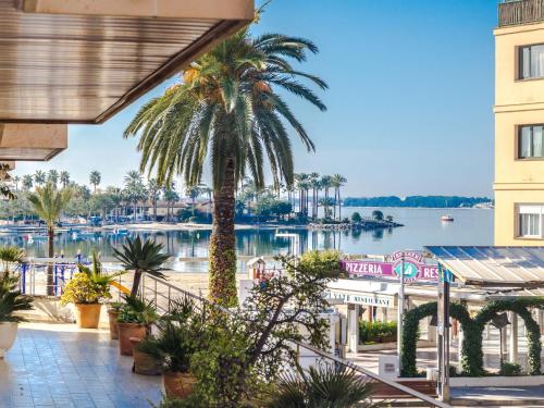 a palm tree on a balcony with a view of the water at Apartment Maritimo by Interhome in Port d'Alcudia