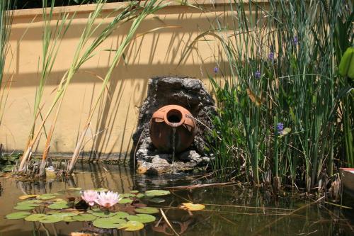 a bird house sitting in a pond with water lilies at Hotel Villa Rita in Paestum