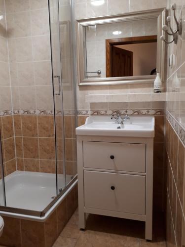 a bathroom with a sink and a shower at Zajazd Podzamcze in Fałków