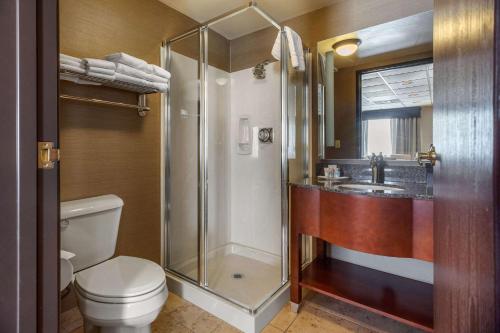 Salle de bains dans l'établissement Comfort Suites