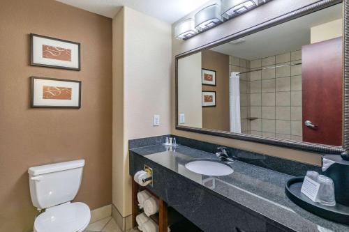 a bathroom with a sink and a toilet and a mirror at Comfort Suites in Ennis