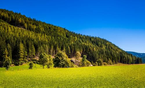 a green field in front of a mountain at Grillhof-Gut in Mauterndorf