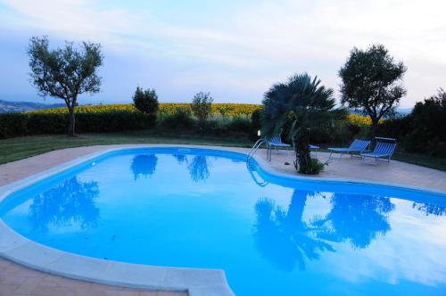a blue swimming pool with a bench and a field of flowers at Il Casale in Treia