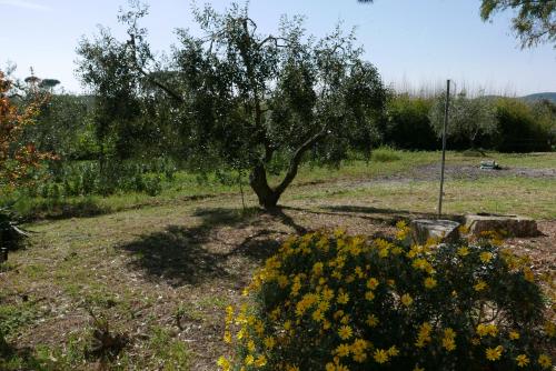Taman di luar Agriturismo Baratti