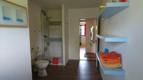 uma casa de banho com um chuveiro, um WC e um lavatório. em Haus Schwalbennest em Inzell