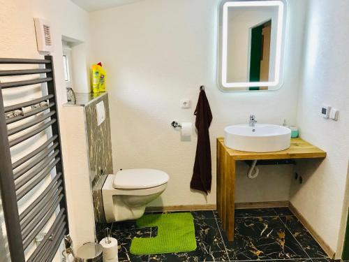 a bathroom with a sink and a toilet and a mirror at Chata pod Lysou Horou in Ostravice