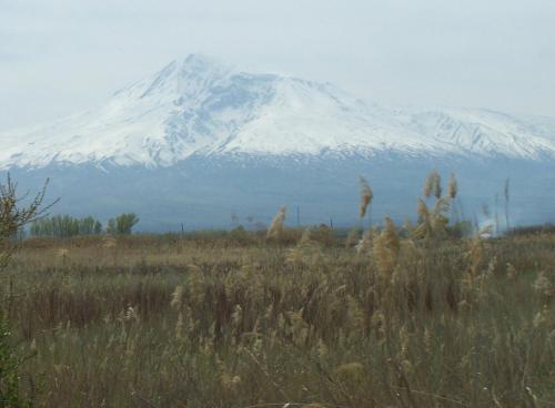 a snow covered mountain in a field with tall grass at B&B Sunrise House Aygavan in Aygavan