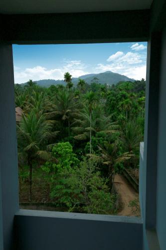 a window view of a jungle with palm trees at Woodside residency in Thekkady