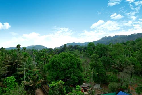 a view of a forest with mountains in the background at Woodside residency in Thekkady
