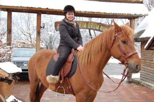 a young girl riding on a horse in the snow at Pensiunea Ghiocelul in Avrig