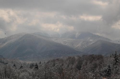 a view of a mountain range with trees in the foreground at Pensiunea Ghiocelul in Avrig