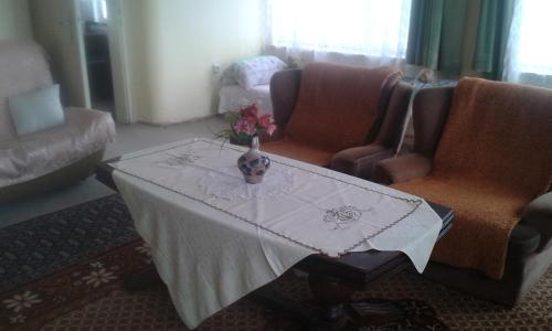 a living room with a table with a vase of flowers on it at EKO-penzion Hamry in Žiželice