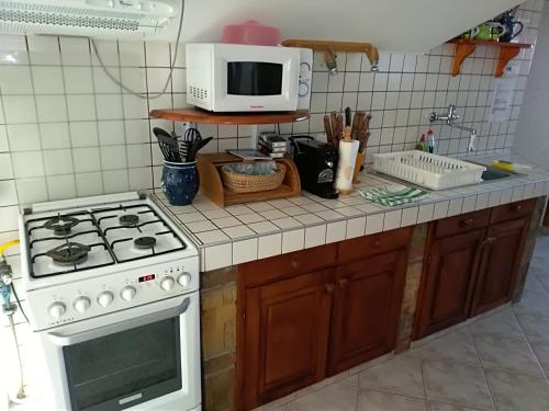 a kitchen counter with a stove and a microwave at Koko Apartman in Tihany