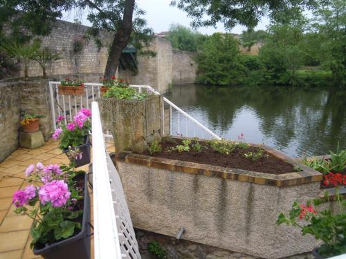 a garden with flowers next to a body of water at MOULIN DE L'ABBESSE in Thouars