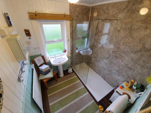 an overhead view of a bathroom with a shower and a sink at Whitehead Bed and Breakfast in Whitehead