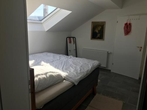 Schlafzimmer mit einem Bett und einem Dachfenster in der Unterkunft Im Mückenberg 4 in Lahnstein