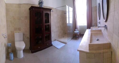 uma casa de banho com um chuveiro, um WC e um lavatório. em Grand corps de ferme à la rue Messire Etienne 89113 Neuilly Valravillon em Neuilly