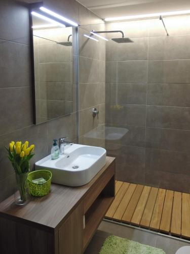a bathroom with a sink and a shower at Apartments ViTa in Kranjska Gora
