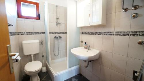 a bathroom with a toilet a sink and a shower at Apartments Roberta in Kožino