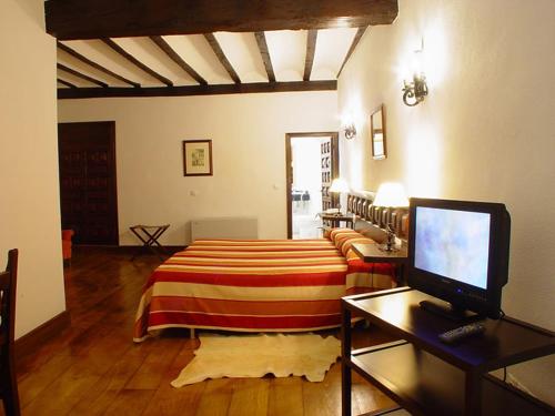 Sala de estar con cama y TV en Hotel Nuevo Arlanza, en Covarrubias
