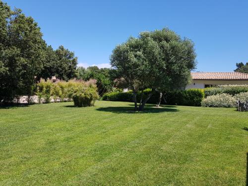 a green yard with a tree and a house at Poisson Rouge in Bonifacio