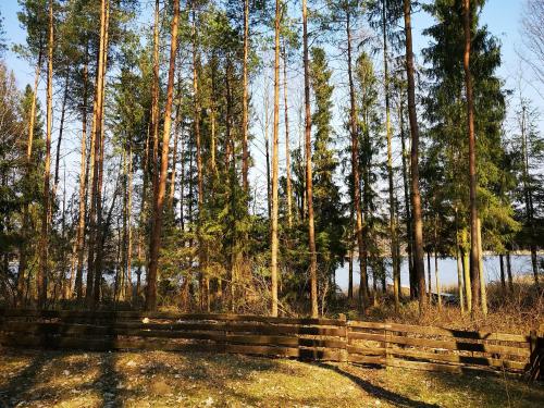 Gallery image of Warchały near Szczytno, RUSTIC LODGE at Lake in Narty