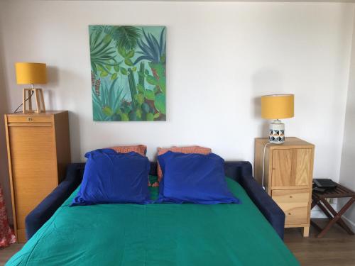 - une chambre avec un lit vert et 2 oreillers bleus dans l'établissement Appartement à 2min du plan d'eau, à Vichy