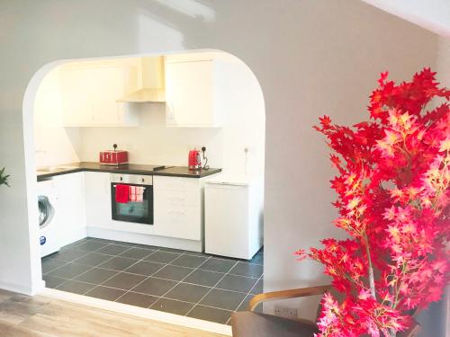 a kitchen with white cabinets and a red plant at 3 Fitzhamon Embankment APARTMENTS opposite Principality Stadium - LONG STAY OFFER in Cardiff