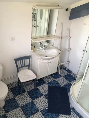 a bathroom with a sink and a toilet and a mirror at Chambres des arrys in Bas-en-Basset