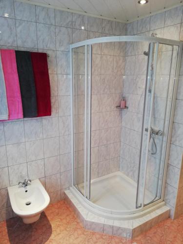 a bathroom with a shower and a toilet and a sink at Ferienwohnung Deisenberger in Furth