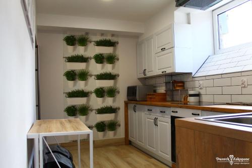 a kitchen with potted plants on the wall at Dworek Zakopane in Zakopane