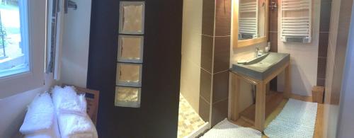 une salle de bain avec un lavabo et une douche avec un miroir dans l'établissement Le Clos de Longas - Gite et Chambre d'hôtes, à Sainte-Foy-de-Longas