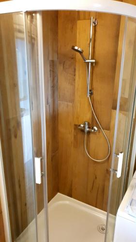 W łazience znajduje się prysznic ze szklanymi drzwiami. w obiekcie Apartament Redłowo w mieście Gdynia