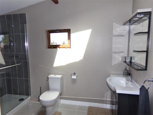 a bathroom with a toilet and a sink and a shower at Chambre d’hôte - Ilse's Garden Chair in La Porcherie