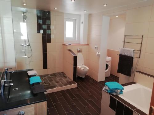 a bathroom with a shower and a toilet and a sink at Maison / villa complète à 5 minutes de Colmar in Ingersheim