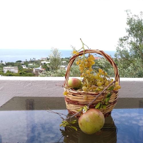 a basket of fruit sitting on top of a table at Residence Limoneto Ischia in Ischia