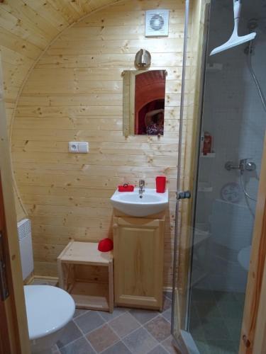 une petite salle de bain avec un lavabo et une douche dans l'établissement LES GITES DU PARC MANTOCHE LE TONNEAU, à Mantoche