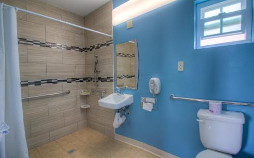 a blue bathroom with a toilet and a sink at Princess Inn in Westminster