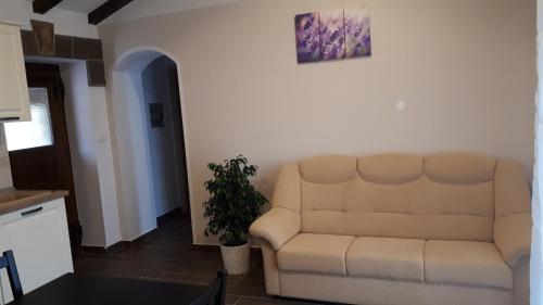 a living room with a couch and a plant at Apartments Gea in Lucija