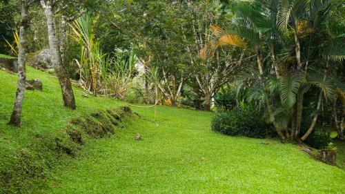 a lush green yard with trees and grass at Hospedaje La Naciente in Turrialba