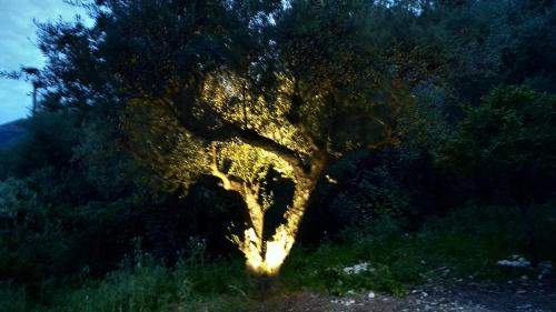 Foto dalla galleria di Green Hill House a Alykes