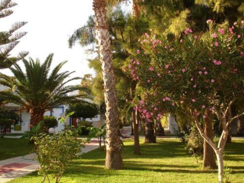 a group of palm trees with pink flowers in a park at Hotel Tigaki's Star in Tigaki