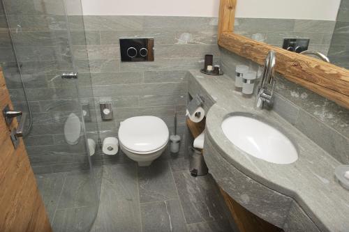 a bathroom with a sink and a toilet and a mirror at Hotelino Petit Chalet in Celerina