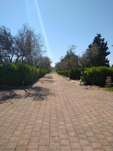 a brick road with trees on the sides of it at B&B Terra Serena in Santa Cesarea Terme