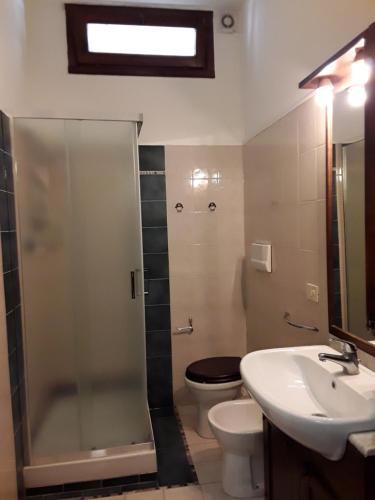 W łazience znajduje się prysznic, toaleta i umywalka. w obiekcie Accogliente appartamento Fucecchio w mieście Fucecchio