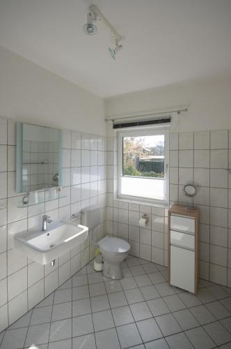 a bathroom with a sink and a toilet and a window at Ferienwohnung Sonnenblume Himmelpfort in Pian