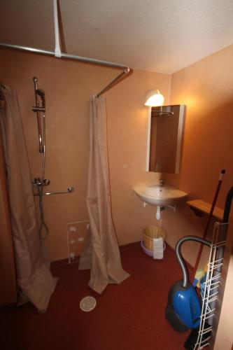 Vonios kambarys apgyvendinimo įstaigoje L'Ecrin des Neiges