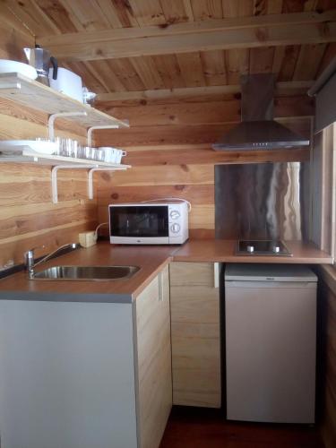 Η κουζίνα ή μικρή κουζίνα στο Camping la Pedrera
