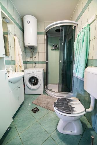 a bathroom with a toilet and a washing machine at Holiday Home Blue Sky in Globocice